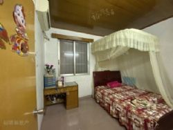 �������Ž� �������� 62�� ��ƽ̨