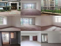 ���������ó��ԣ��������ͥϡȱС���������в㲻��·