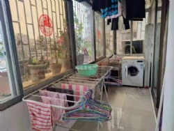 ϲ���ķ�ɫ�Ŀ�������Ŷ ���Ӻܴ� �ɹ�ܺ�