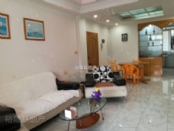 �����´嶫 ��װ�������� 80�� 48�� �����ס