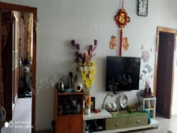 ���°��Ӿ�װ���� С������ ����48��