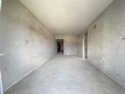 �����ž�ë��ϡ������  ˫��̨ ��ʱ����