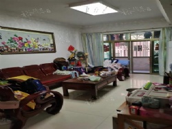 ����С��������ϡ�еĵ��ݣ�����������װ���������