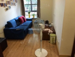 ������︽�� �̹�԰ ��װ �������� ����63.8��