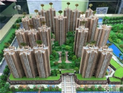 �»��Ϻ�Ҽ�� ��ʽë�� ��������