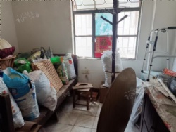 ���Ŷ����紺��Է������������¥