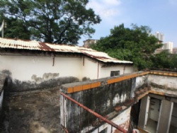 ��ɳ�����г������������Խ����������ؽ�����������