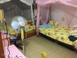 ��ʢ���ֻ��͸�ַ������ɹ����ͨ��ã�������������