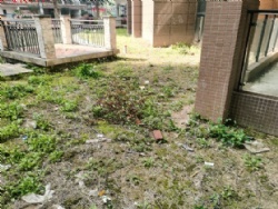 ����԰������������С��������Ʒ�� ��ʽ�ٱ�ë���ķ�