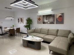 ����Է���������������ѧ