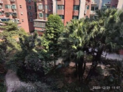 �ž���԰��120ƽ�����ϱ�����