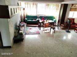 ����Է���������㣬�����