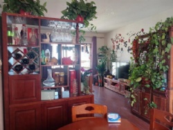 13�����ڣ�ֱ�������ס