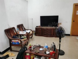 ������������¥���ݸ߲����� ����̨ ��ʱ������