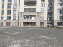 ��1000����ƽ̨ �����С��������ë���ķ�