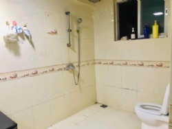 ����Է��װ��������������  07��С������ �ϱ�������