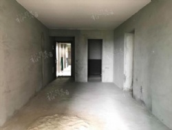 ���˫������̩���в� ë������������С��