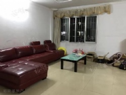 ׼���ݷ���������۵»�԰С���в� ��װ���� ����