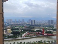 15�����ڣ���ȫ�ݼ�˽������¥�¾��ǹ�԰