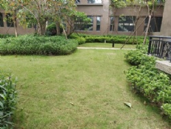 ȫ��ë����������ʽ����