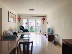 ����Ƭ������������������3��ͷ