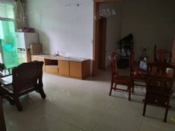 �����´嶫������С��������������