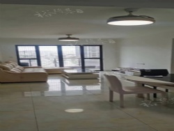 ��������������С��������������