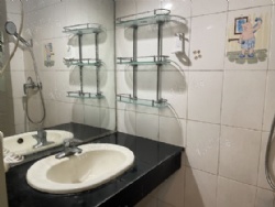 ����Է������������������