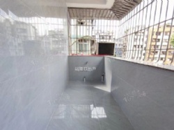 ��԰�ݴ徫װ��������