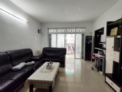 ũ����·С��������װ����