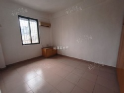 �����´�����������������װ��