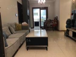 ���뵺������С����������