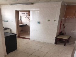 �����´���������������������