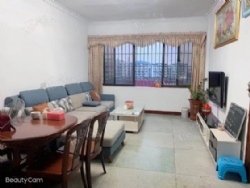 �����´��ϣ��ϱ�������������