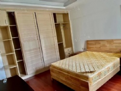 ������Է������С����������