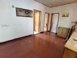 �����´嶫��������¥��������