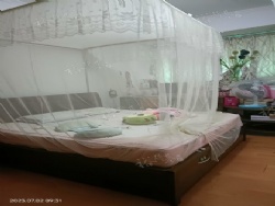 �����´山����װ�ϱ�������������