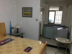 �����ȫ�´������