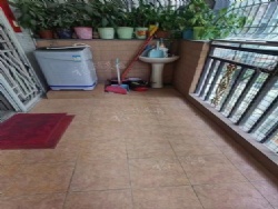 �����´�������װ��������������