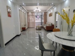 ˫��Ƭ���������ķ�����װ��