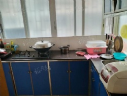 ����-�����´��� �ҵ���ȫ ������ �����̳�