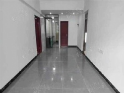 �����｡��¥��3������29.8��