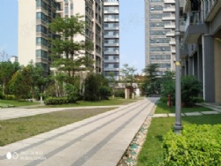 ��԰�㳡��������Է ȫ��ë������ 95��