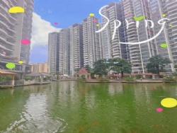 ������������Ʒ��С���м��в������װ����