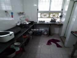 ˫��¥�㾫װ2��1��