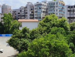 ��¥���뻧��Ͷ����ѡ2����װ19.8��