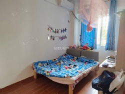 ����ԷС�� �������� �в� 96�������ס