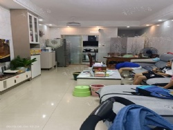 ���˼���ѡ������Է1¥��װ������װ�޷ǳ��������ס��