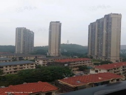 �齭����ɽׯ3��2��2��93ƽ��85��