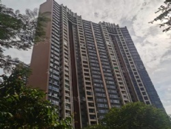 ˫������̩�Ǹ�����3��